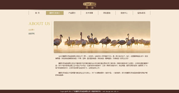 &#77;&#75;&#23448;&#26041;&#32593;&#39029;&#29256;&#45;&#77;&#75;&#40;&#20013;&#22269;&#41;